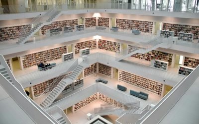 La Quête de l'Expertise : Maîtriser les Sources d'Information Professionnelle pour une Veille Stratégique